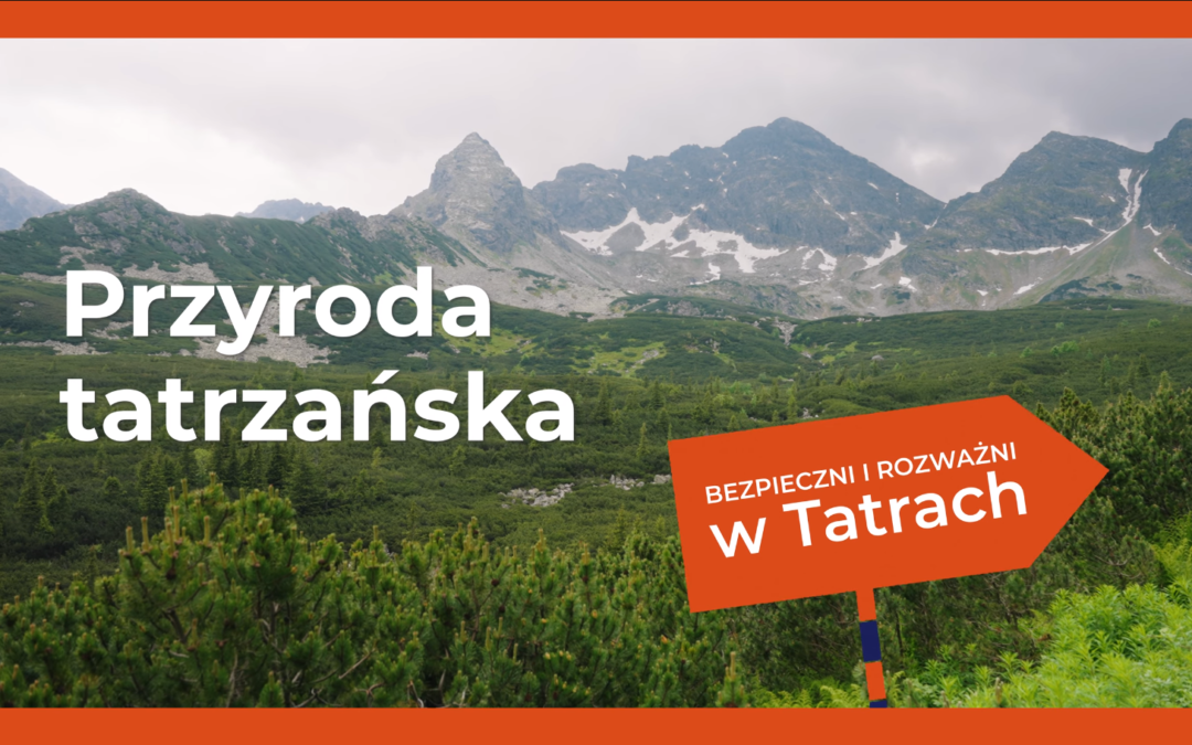 Bezpieczni i rozważni w Tatach – przyroda tatrzańska